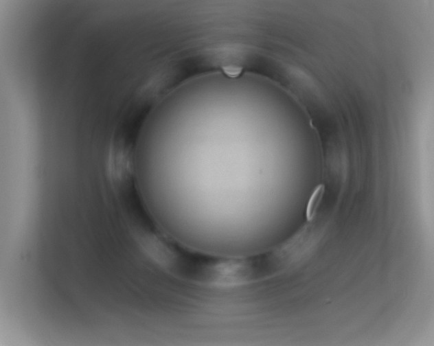 X0000113900172200909241444