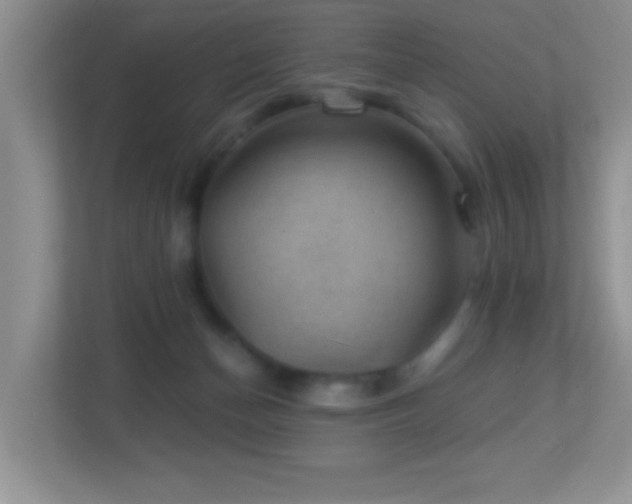 X0000113900174200909241444