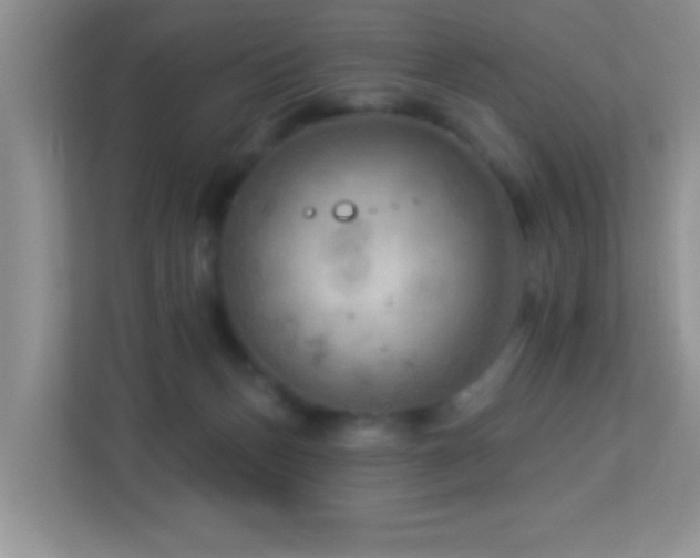 X0000113900175200909241444