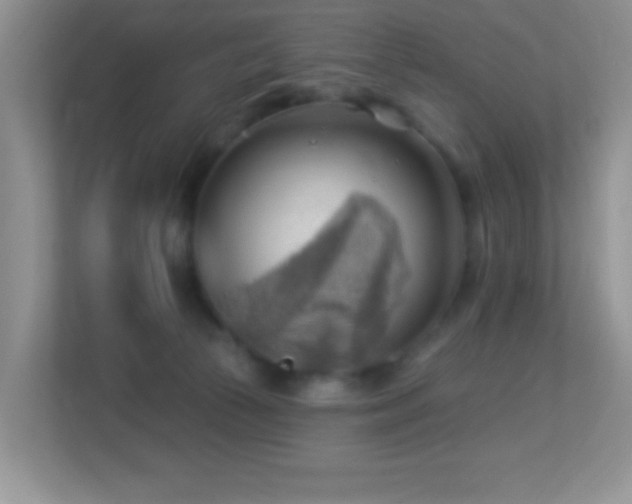 X0000113900177200909241444