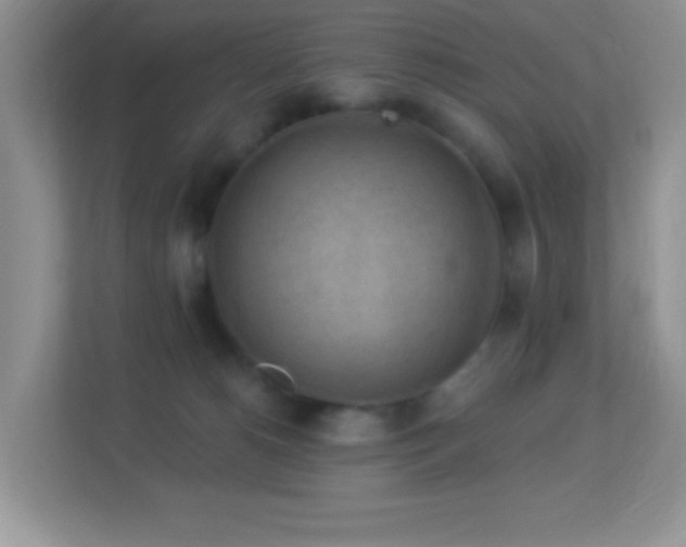 X0000113900180200909241444