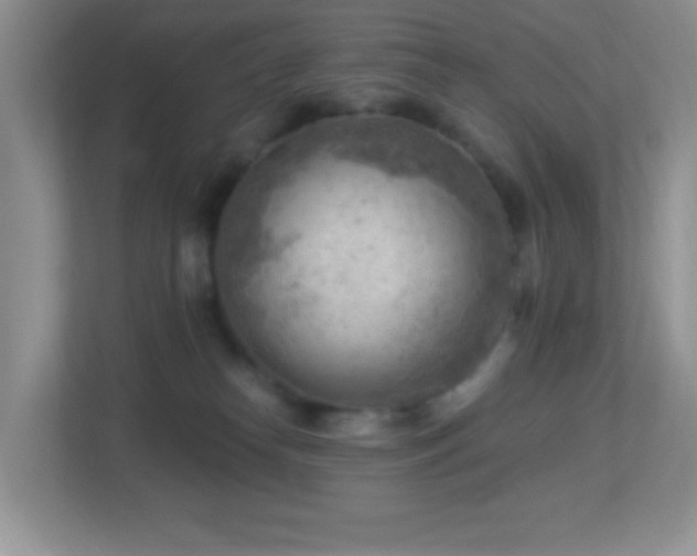 X0000113900182200909241444