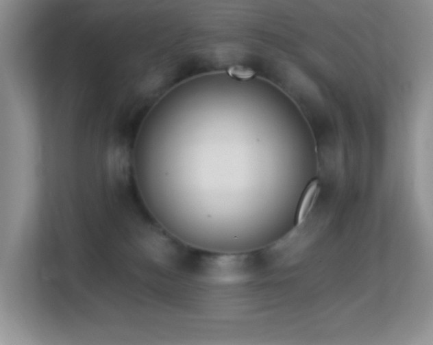 X0000113900184200909241444