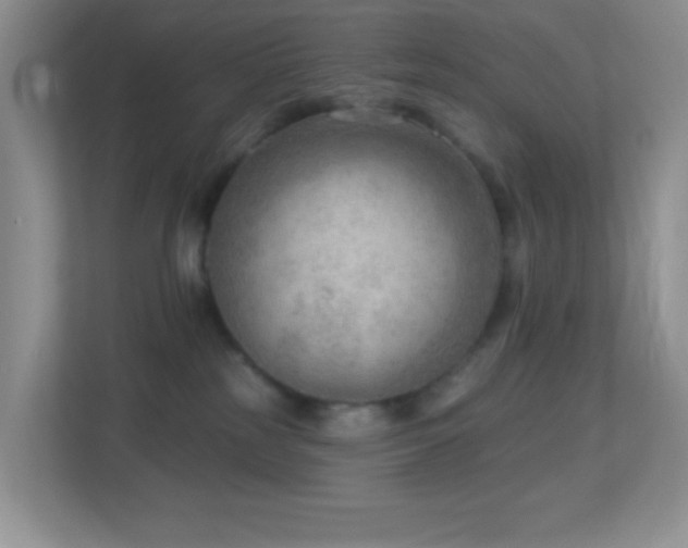 X0000113900185200909241444