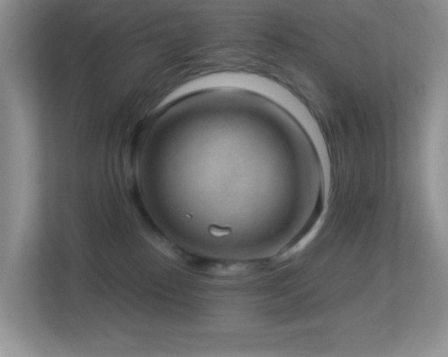 X0000113900186200909241444