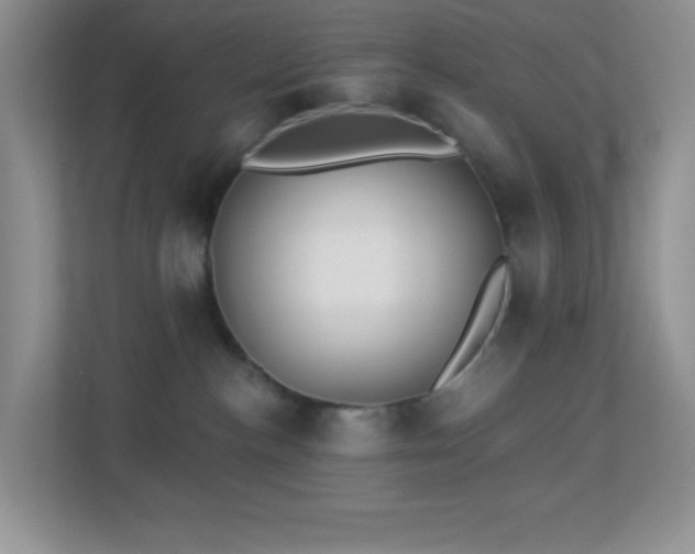 X0000113900188200909241445