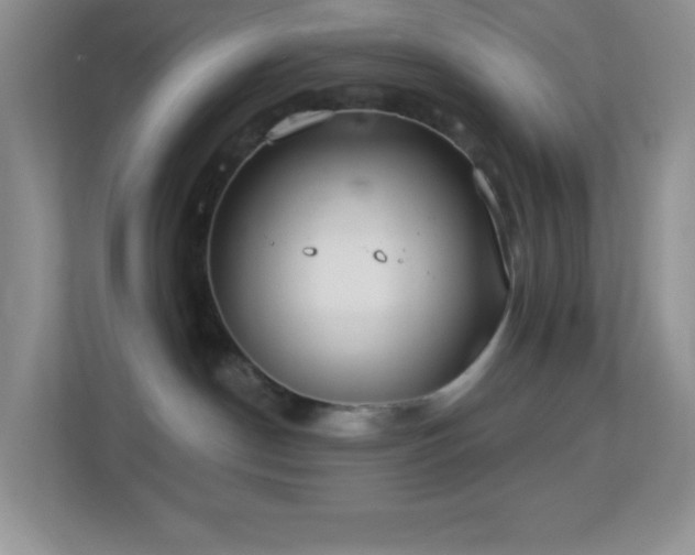 X0000113900190200909241445