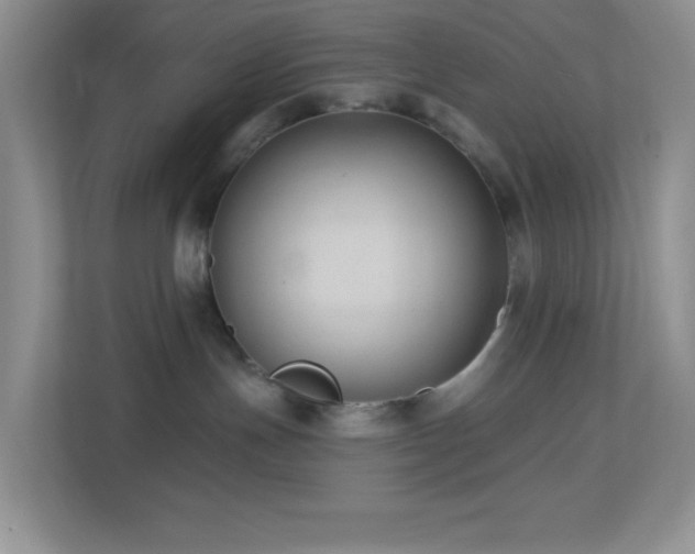 X0000113900191200909241445