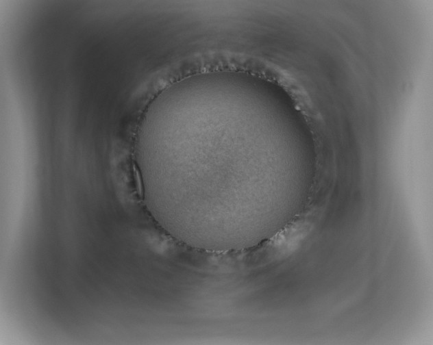 X0000113900192200909241445