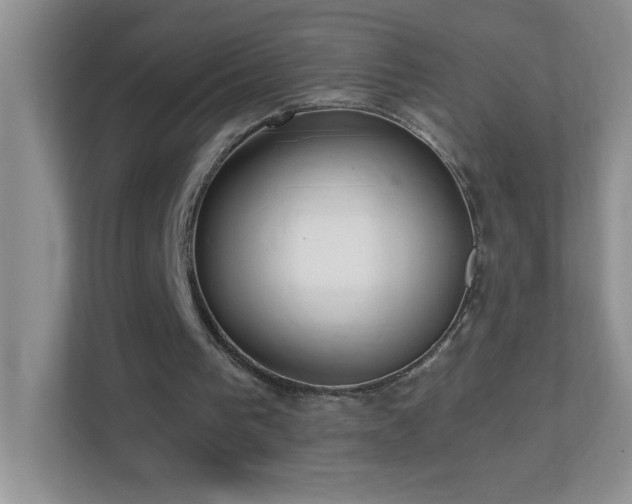 X0000113900193200909241444