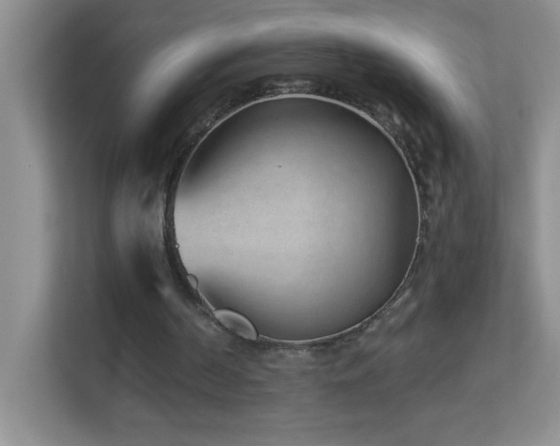 X0000113900194200909241444