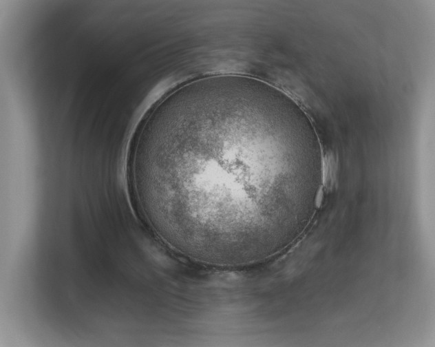 X0000113900195200909241444