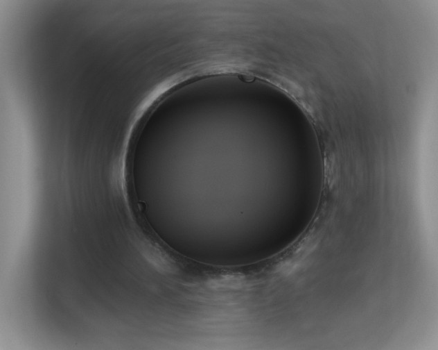 X0000113900196200909241444