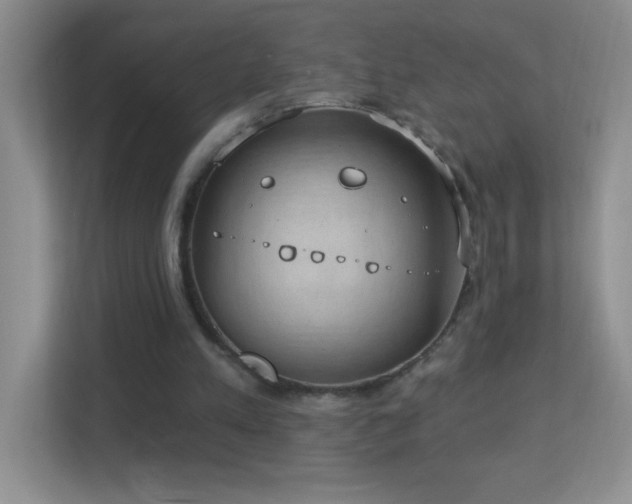 X0000113900197200909241444