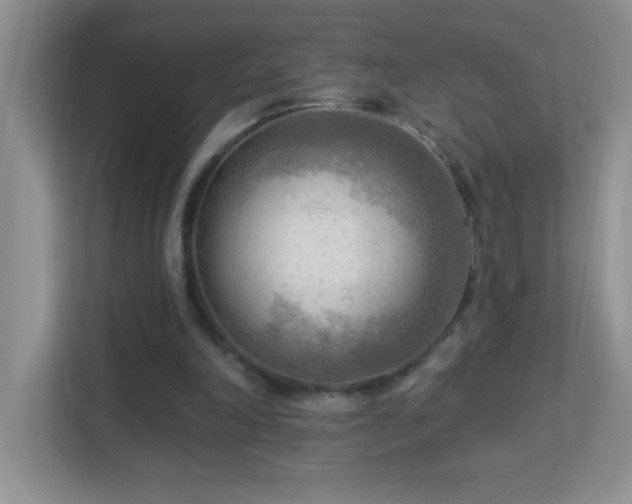 X0000113900198200909241444