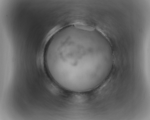 X0000113900199200909241444