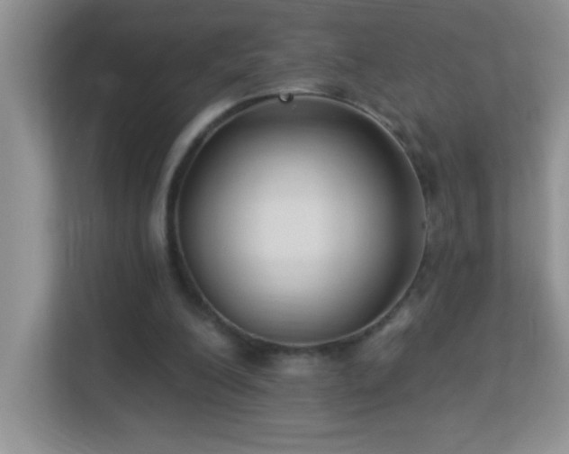 X0000113900200200909241444