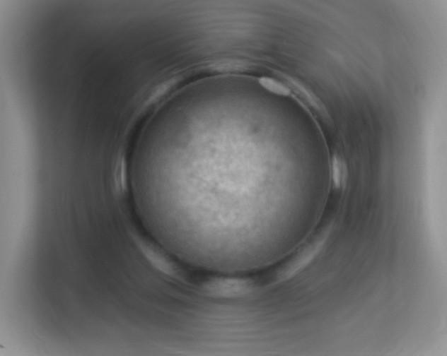 X0000113900205200909241444