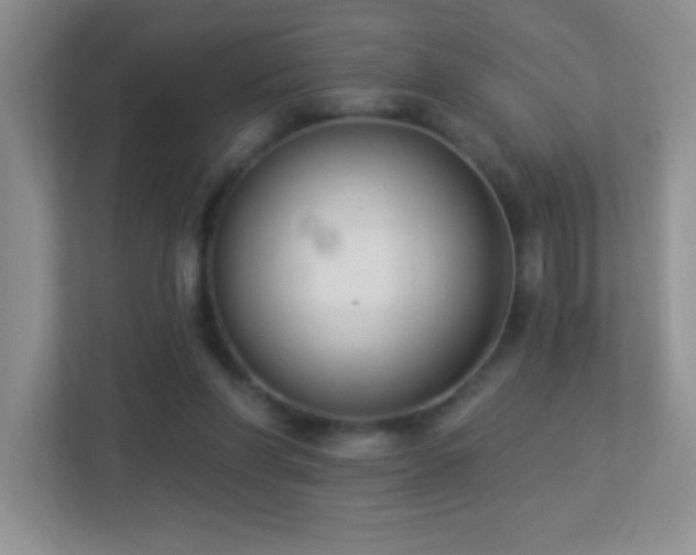 X0000113900206200909241444