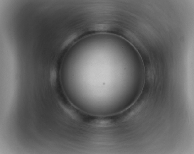 X0000113900208200909241444