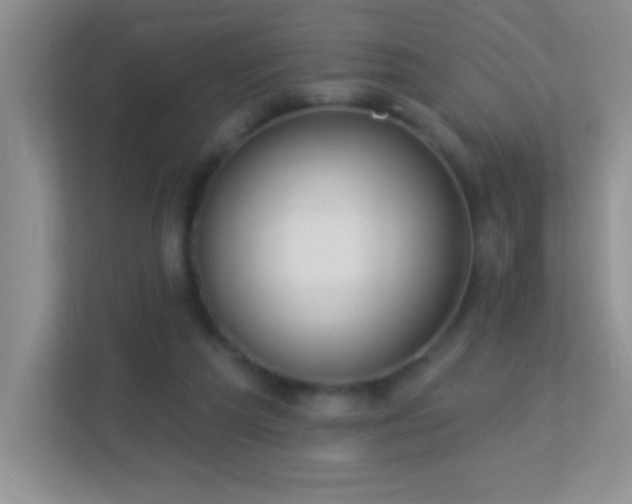 X0000113900209200909241444