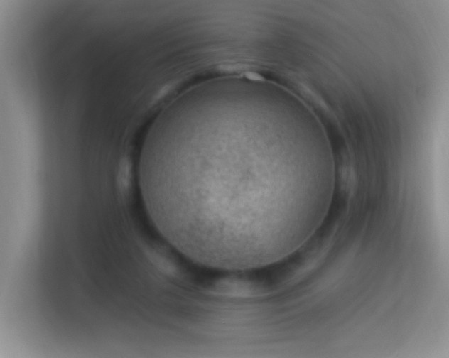 X0000113900211200909241444