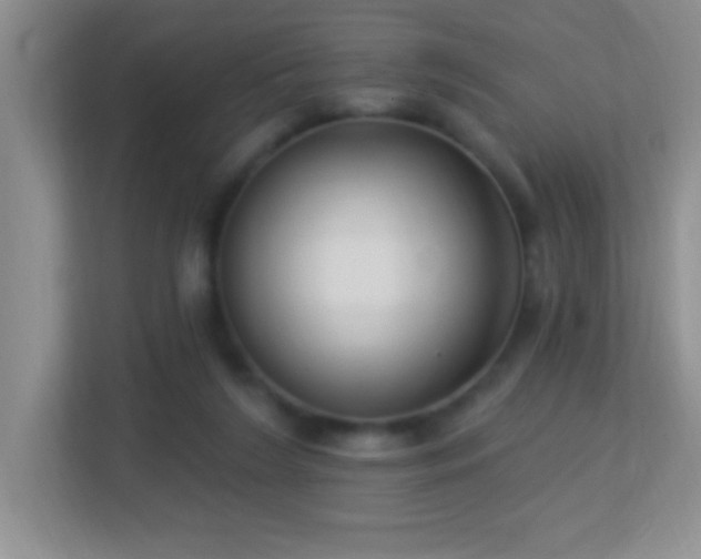 X0000113900212200909241444