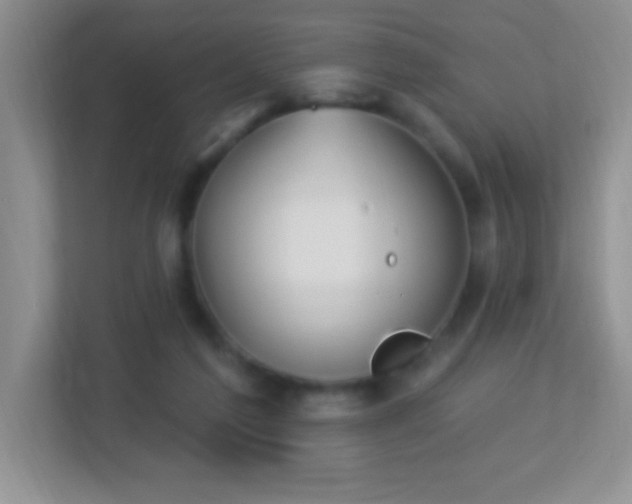 X0000113900213200909241444