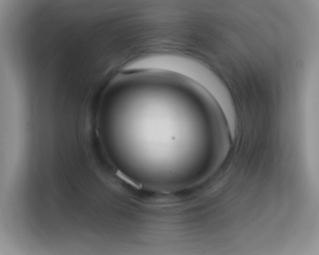 X0000113900215200909241444