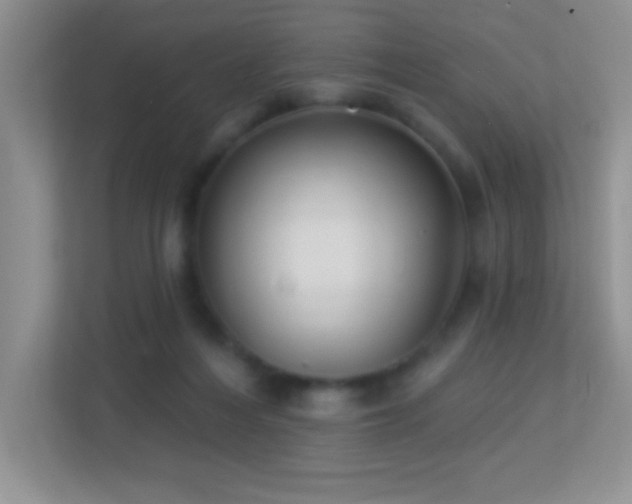 X0000113900216200909241444