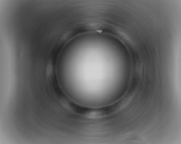 X0000113900220200909241444