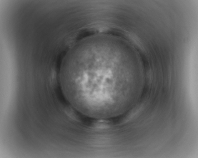 X0000113900222200909241444