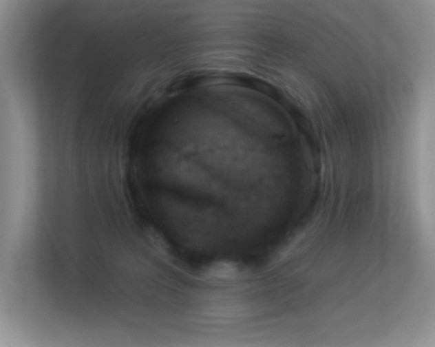 X0000113900227200909241444