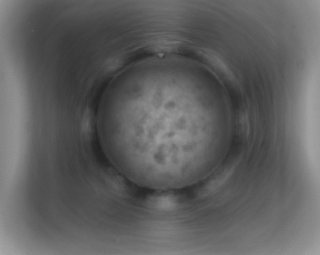 X0000113900228200909241443