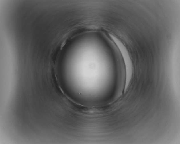 X0000113900229200909241443