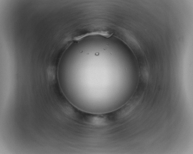 X0000113900232200909241443