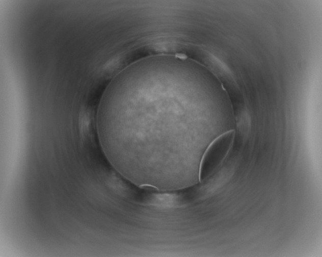 X0000113900233200909241443