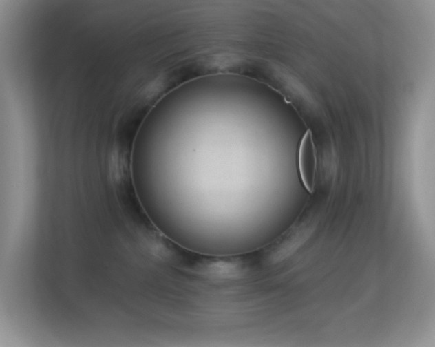X0000113900236200909241443