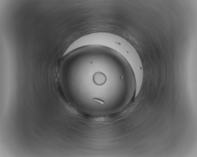 X0000113900237200909241443