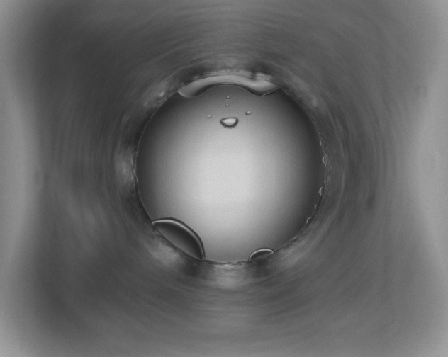 X0000113900240200909241443