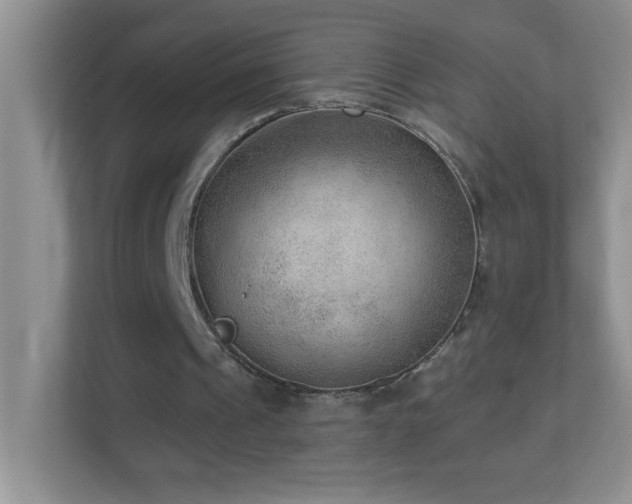 X0000113900241200909241443