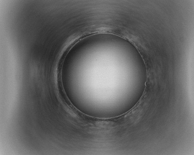 X0000113900242200909241443