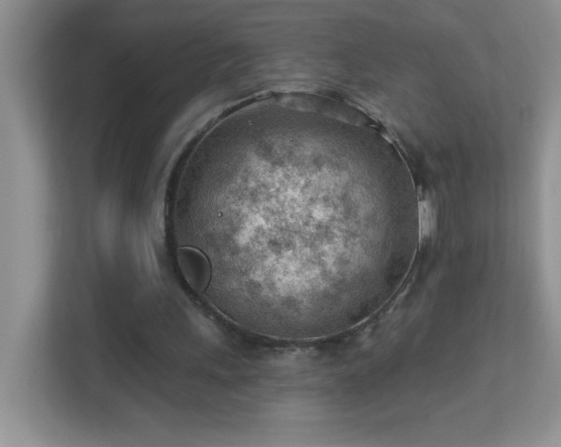 X0000113900243200909241443