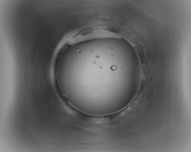 X0000113900245200909241443