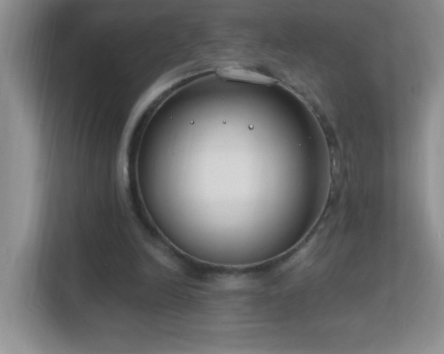 X0000113900246200909241443