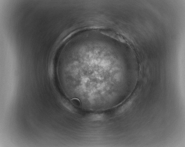 X0000113900247200909241443