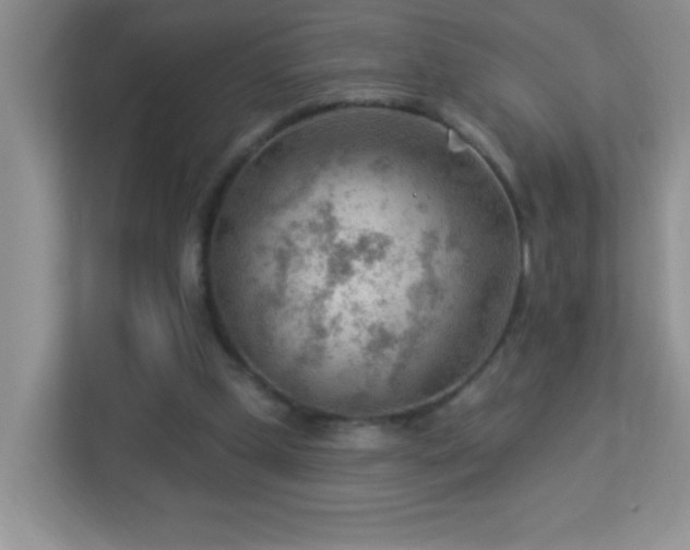 X0000113900249200909241443