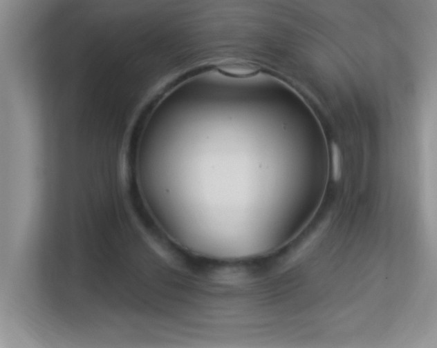 X0000113900252200909241443