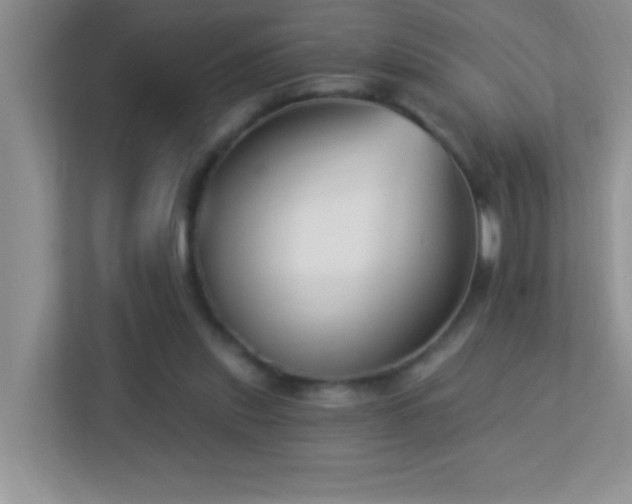 X0000113900253200909241443