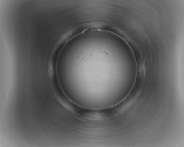 X0000113900254200909241443